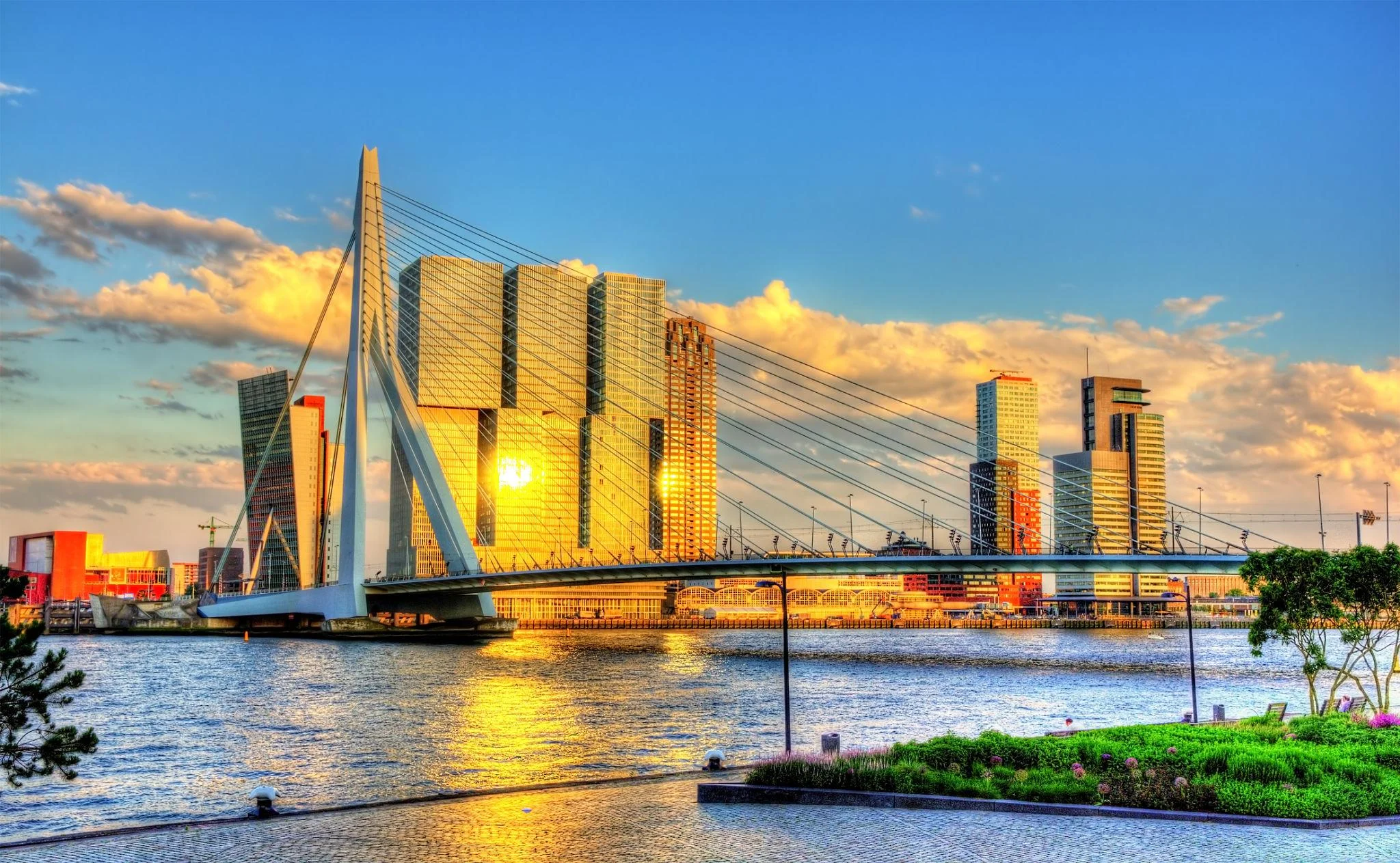 Rotterdam exhibition